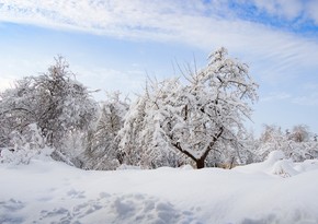 Завтра в Азербайджане ожидается снег, дороги покроются льдом